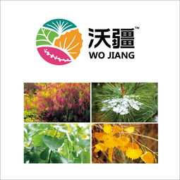 如何選定一個(gè)靠譜北京營銷策劃公司｜以福來品牌實(shí)戰(zhàn)經(jīng)驗(yàn)為例，升級(jí)你的全案戰(zhàn)略